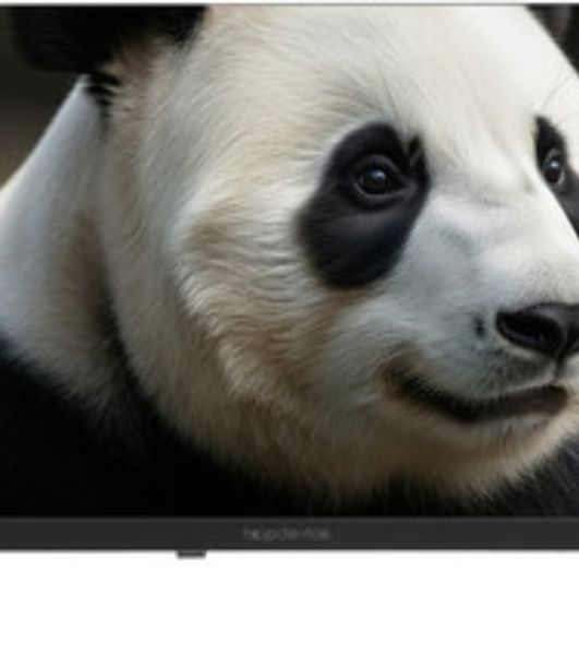 Телевизор TopDevice 24" TDWC24BH4260V черный DLED HD 60Hz Smart TV Салют ТВ 1.5GB/32GB
