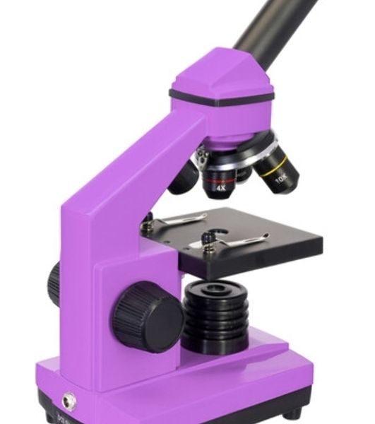 Микроскоп Levenhuk RAINBOW 2L AMETHYST/Аметист Микроскоп с предметным столиком, трехгнездным револьвером, фокусировочным механизмом, двумя источниками света с регулировкой яркости Монокулярная насадка Объективы: 4х, 10х, 40х, Увеличение микроскопа: 64-640