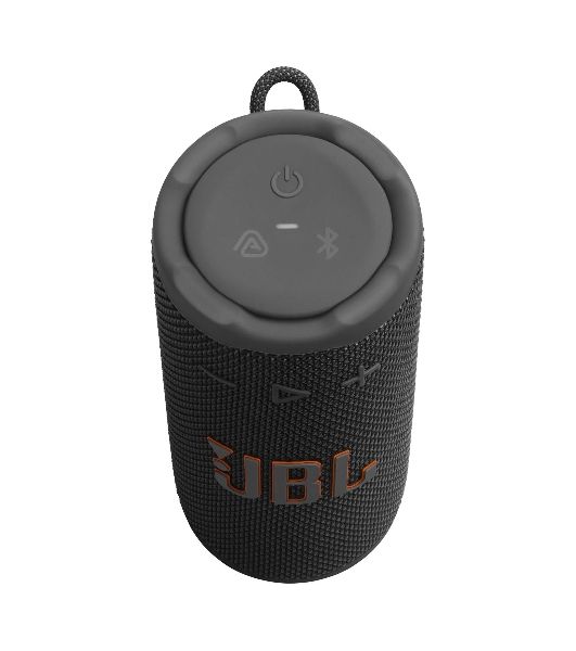 Портативная акустика JBLGRIPBLK черный