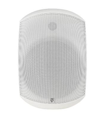 Акустическая система Intrend ITSPK-MSK8-W двухполосная, корпусная: 8"СЧ, 1.5"ВЧ, 12.5Вт/25Вт/50Вт/100Вт 100V/70V/8Ом, IP66. Корпус полипропилен, алюминиевый гриль. Цвет белый. Крепление в комплекте. (в упаковке 2шт, цена указана за 1шт)