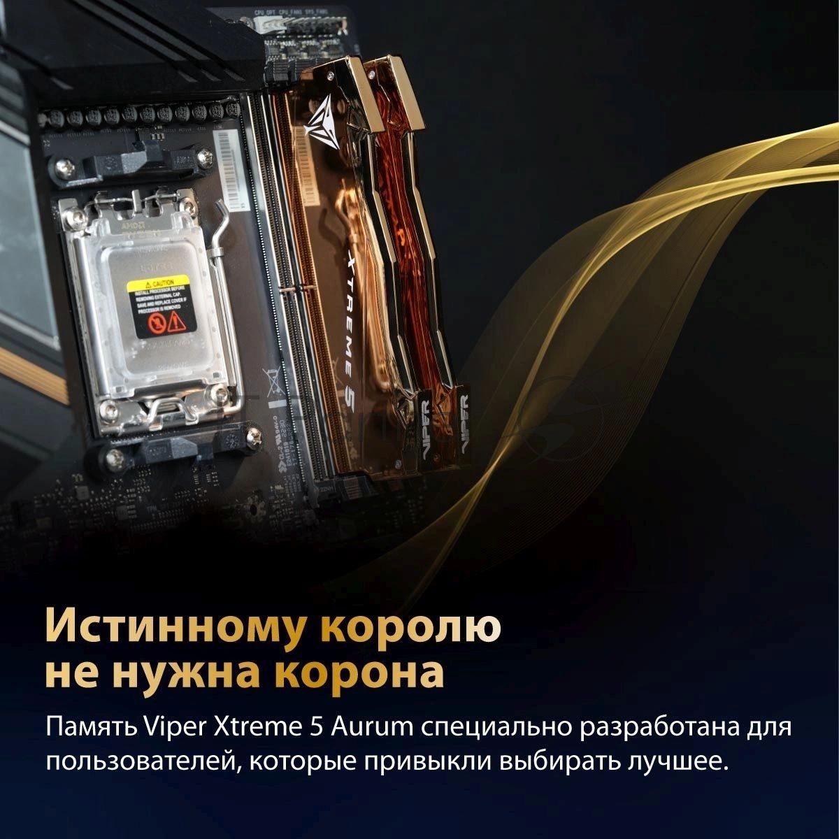 Оперативная память Patriot Viper Xtreme 5 Aurum, DDR5, 32GB (2x16GB), 8000 MHz, CL38, с радиатором, золотистый
