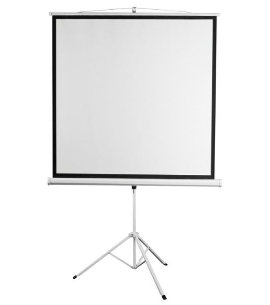 Экран на штативе Digis Kontur-D формат 1:1 135" (248x250) MW