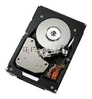Жёсткий диск 300GB 2.5" IBM 15K rpm 6Gb SAS HDD, for V3700 SFF