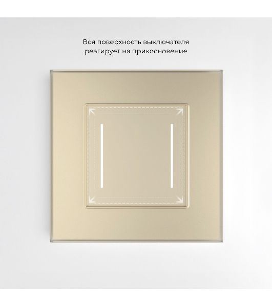 Сенсорный выключатель двухклавишный с подсветкой (шампань) W4522011