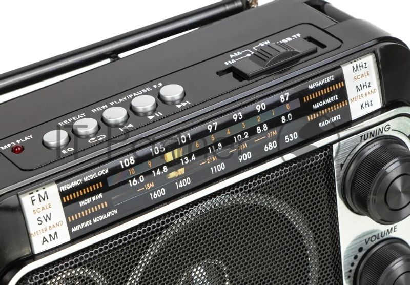 Радиоприемник Ritmix RPR-171
