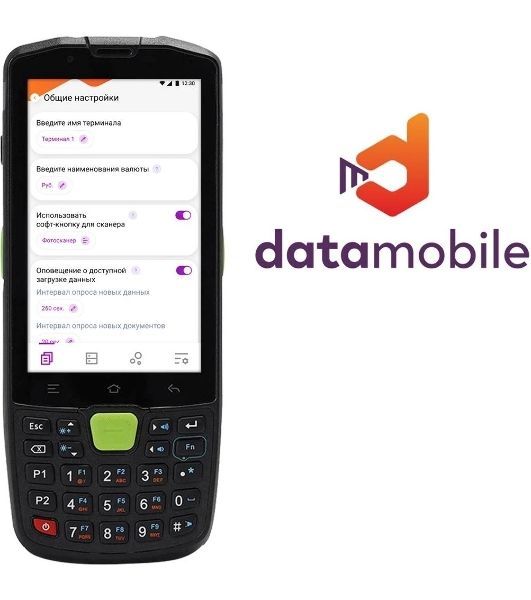 Программное обеспечение Неискл. право на исп-ие DataMobile версия Стандарт LifeTime (DM)