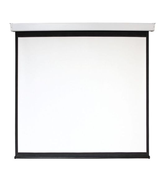 Экран 168x300см Digis Electra-F DSEF-16906 16:9 настенно-потолочный рулонный (моторизованный привод)