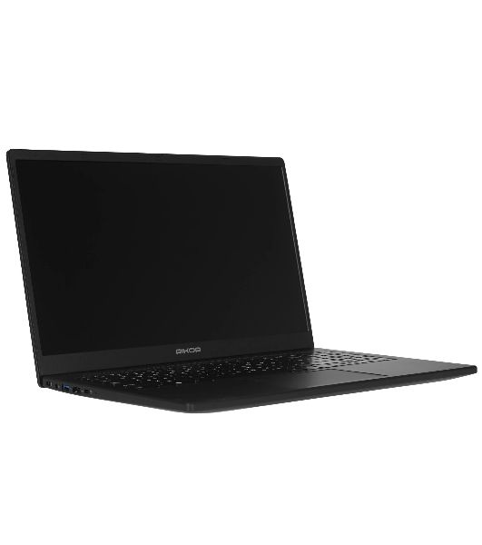 Ноутбук Rikor NINO 201.1/15.6"/IPS/AMD Ryzen 5 5500U/8Gb/256Gb/SSD/AMD Radeon Graphics/Windows 11 Pro/черный/1.65kg
