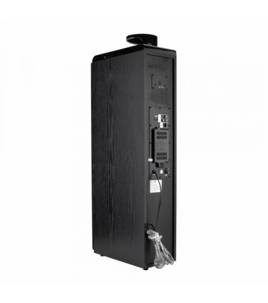 Колонки ELTRONIC (30-49 черный) HOME SOUND - 10 ", черный
