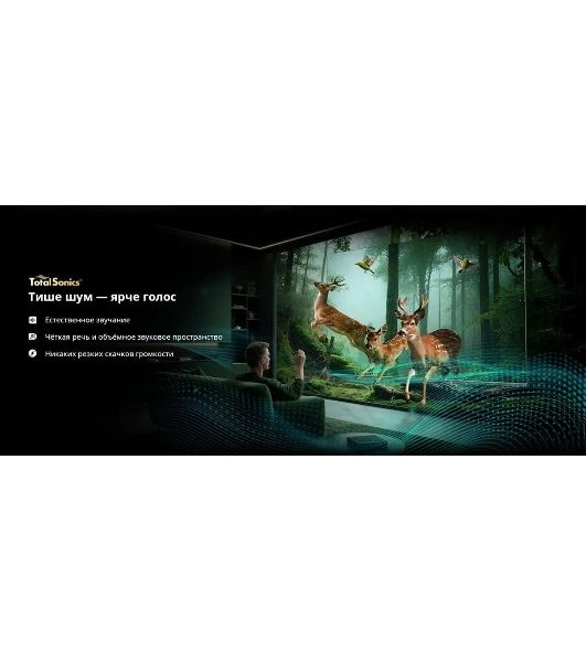 Телевизор Skyworth 55" 55X66H черный/серый Mini LED UHD 60Hz Smart TV Google TV 2GB/32GB