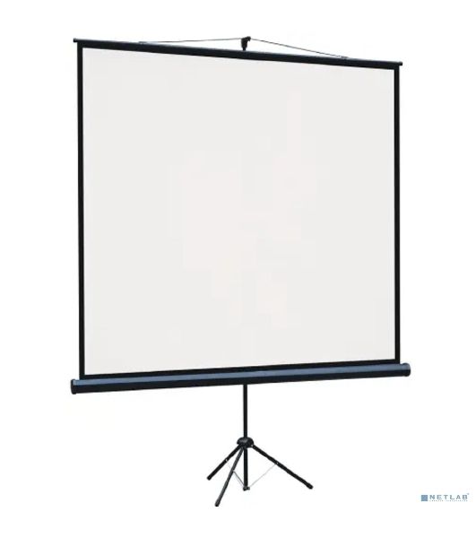 Экран на штативе Lumien Eco View 110x192см (раб.область104х186 см) (84") Matte White 16:9