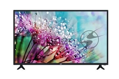 Телевизор OLTO 43" 43ST20U