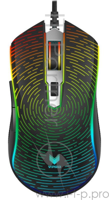 Мышь Rapoo V25S черный оптическая (2000dpi) USB2.0 (5but)