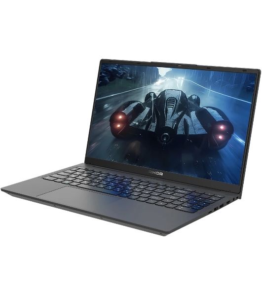 Ноутбук Rikor ARZ 103.1/15.6"/IPS/AMD Ryzen 5 5560U/8Gb/256Gb SSD/AMD Radeon Graphics/Windows 11 Pro/черный/1.7kg