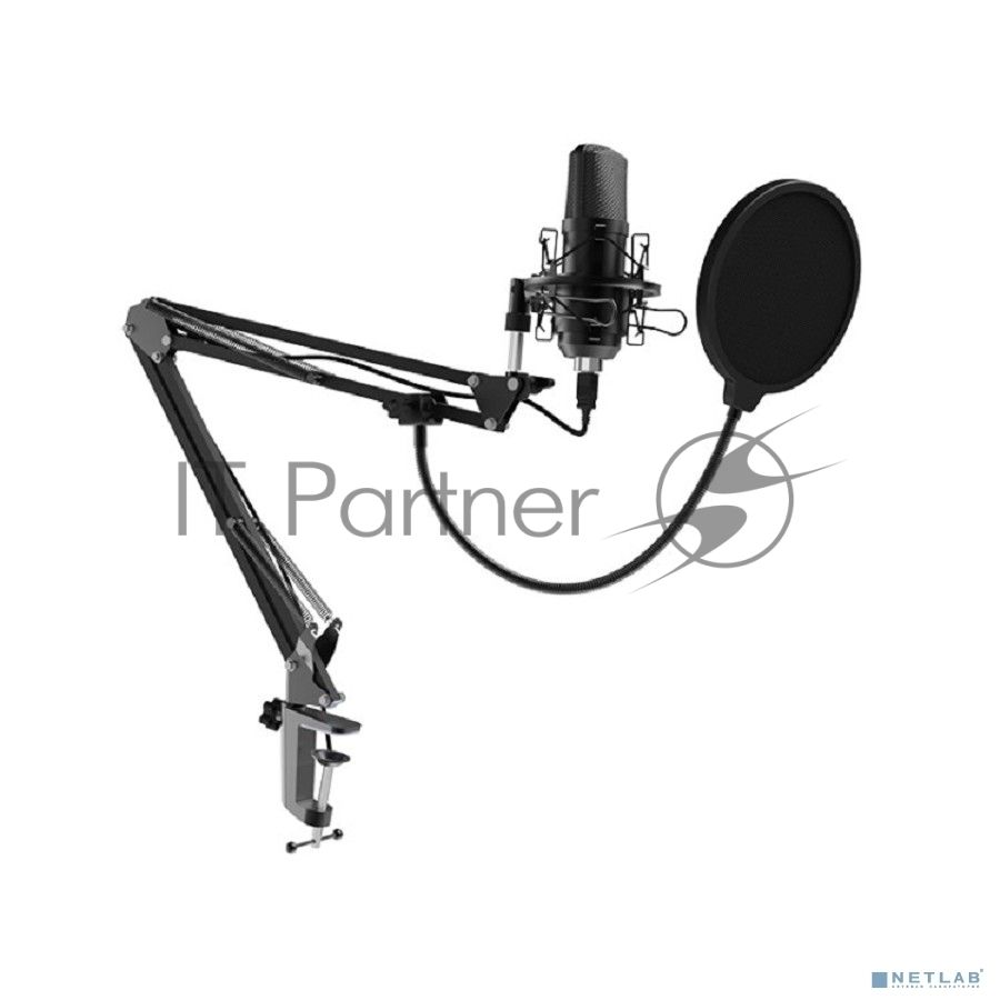 Микрофон Ritmix RDM-169 черный