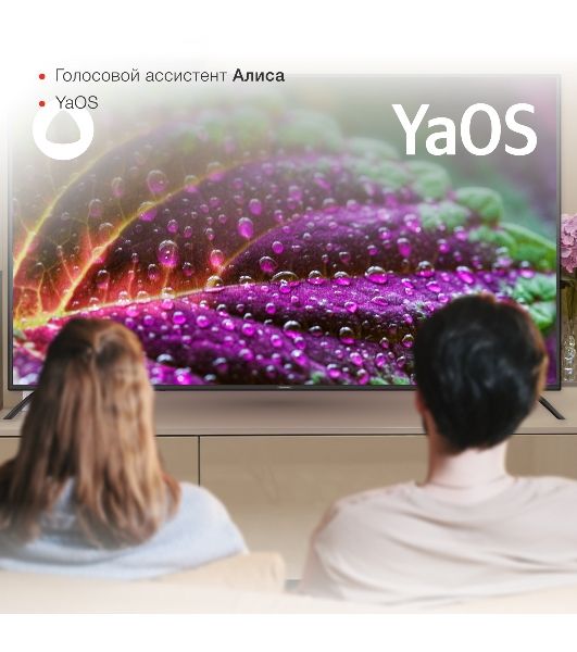 Телевизор Starwind 65" SW-LED65UG402 черный DLED UHD 60Hz Яндекс ТВ