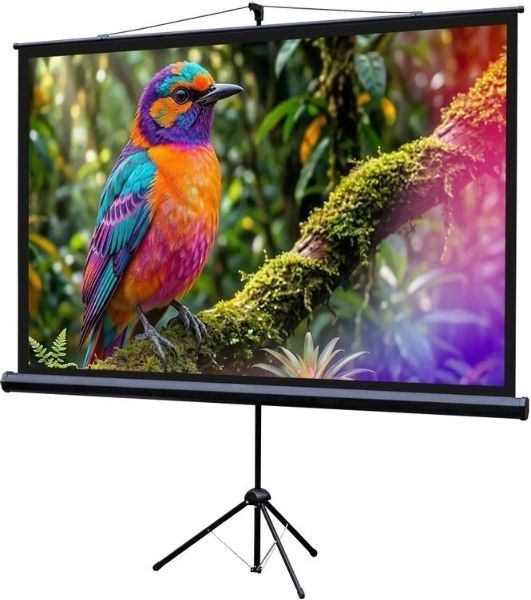 Экран на штативе Lumien Eco View 130x227см (раб.область124х221 см) (100") Matte White 16:9