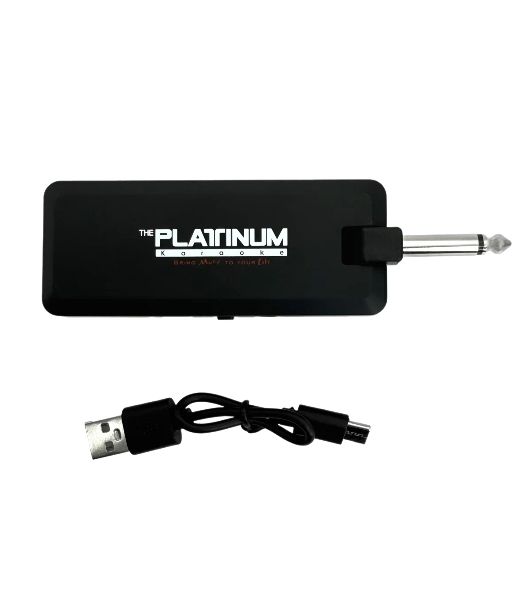 Микрофон JBL MICROPHONE 300