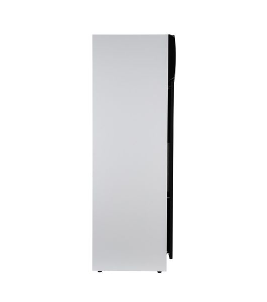 Акустическая система ELTRONIC (30-58) HOME SOUND - колонка 10", белый