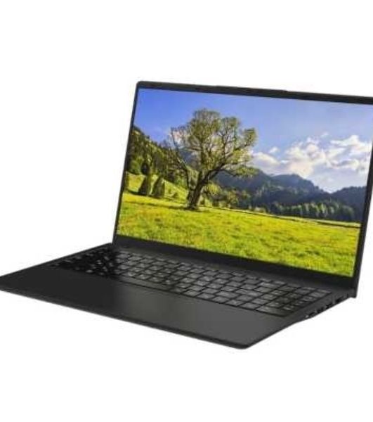 Ноутбук Rikor Pro 3 15 OH-03/15.6"/Intel Core i3-1220P/16Gb/512Gb SSD/Intel Iris Xe Graphics/Windows 11 Professional/черный/1.65kg