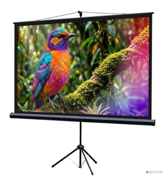 Экран на штативе Lumien Eco View 130x227см (раб.область124х221 см) (100") Matte White 16:9