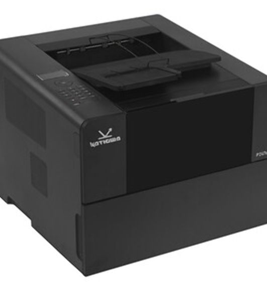 Принтер лазерный Катюша P247ep-pp, 47 стр/мин А4 Ч/Б, 1200 dpi. Ethernet, USB,USB-host, Wi-Fi. 2,2" РЕЕСТР