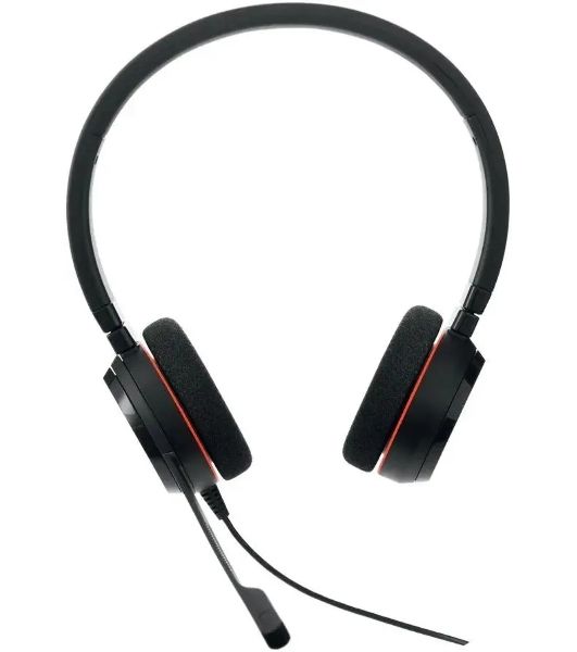 Наушники с микрофоном Jabra Evolve 20 MS Duo черный 1.2м накладные USB оголовье (4999-823-189)
