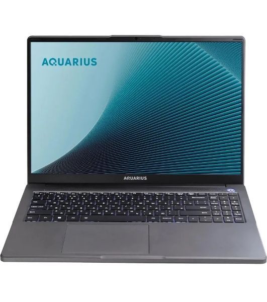 Ноутбук Aquarius Cmp NE356 Ryzen 5 6600H 16Gb SSD512Gb 16" WUXGA без ОС WiFi BT (RCNNE356153328S151SCN2TN NNNN2)