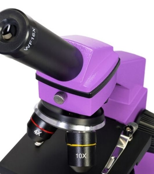 Микроскоп Levenhuk RAINBOW 2L AMETHYST/Аметист Микроскоп с предметным столиком, трехгнездным револьвером, фокусировочным механизмом, двумя источниками света с регулировкой яркости Монокулярная насадка Объективы: 4х, 10х, 40х, Увеличение микроскопа: 64-640