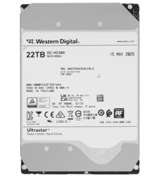 Жесткий диск SAS 22TB 7200RPM 12Gb/S 512MB DC HC580 WUH722422AL5204_0F62791 WESTERN DIGITAL