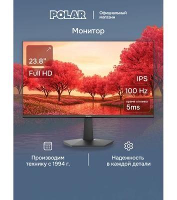 Монитор POLAR P24F12M