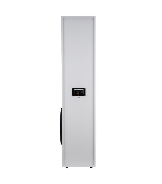 Акустическая система ELTRONIC (30-58) HOME SOUND - колонка 10", белый