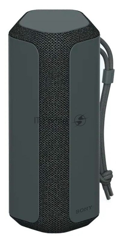 Беспроводная колонка Sony SRS-XE200 черный