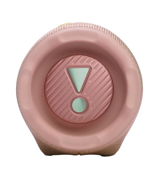 Портативная акустика JBLCHARGE6PINK розовый