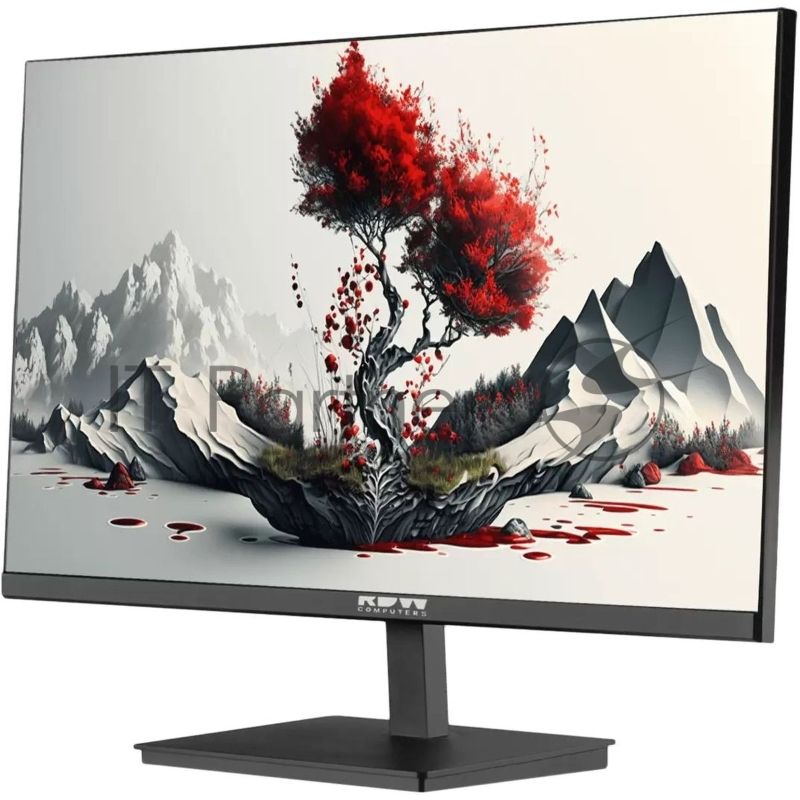 Монитор 23.8" RDW Computers RDW2401K IPS 1920x1080, 100 Гц, 5 мс, 16:9, 300 кд/м², 178°/178°, 1xHDMI, 1xDP, 1xVGA, динамики, черный