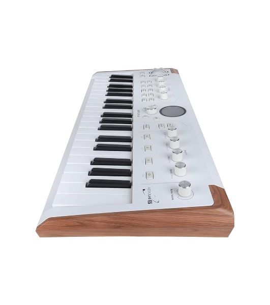 Сценическая клавиатура 230721 Arturia AstroLab 37 White Astrolab White 37 клавиш, полувзвешенная механика, 10 звуковых движков, вокодер, 10 кнопок пресетов, 4 макрорегулятора, MIDI-вход, USB-C и USB-A; аудио Bluetooth; WiFi, цвет белый
