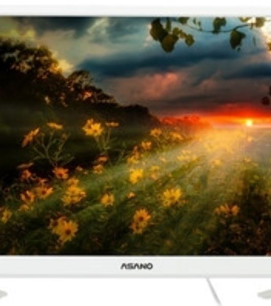 Телевизор Asano 24" 24LH1011T белый LED HD 60Hz