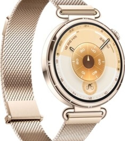Умные часы HUAWEI Watch GT 6 KSU-B19, 1.32" AMOLED, 4G, Wi‑Fi, Bluetooth, NFC, 5 ATM/IP69, коричневый