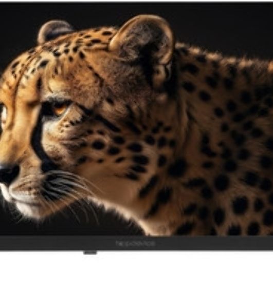 Телевизор TopDevice 24" TDWC24BH2210I черный DLED HD 60Hz Smart TV WildRed 1GB/8GB