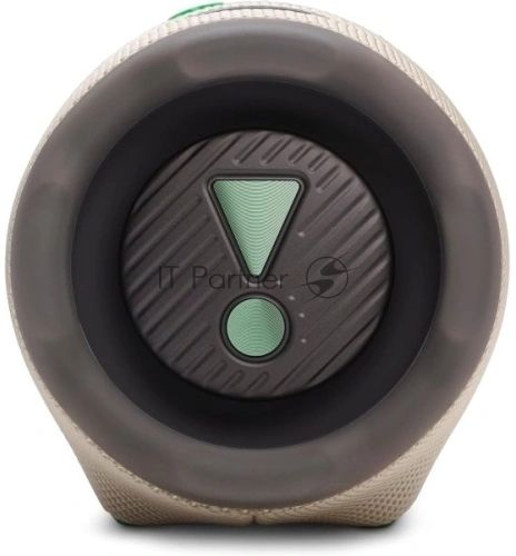 Колонка портативная JBL Charge 6 бежевый/зеленый 45W 1.0 BT 10м 7500mAh (JBLCHARGE6SAND)