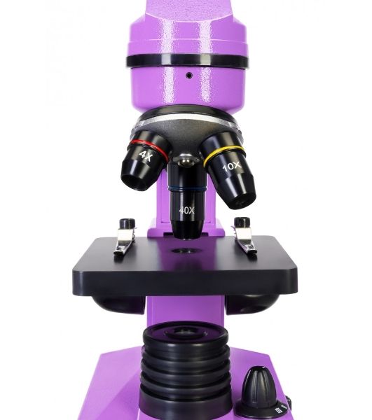 Микроскоп Levenhuk RAINBOW 2L AMETHYST/Аметист Микроскоп с предметным столиком, трехгнездным револьвером, фокусировочным механизмом, двумя источниками света с регулировкой яркости Монокулярная насадка Объективы: 4х, 10х, 40х, Увеличение микроскопа: 64-640