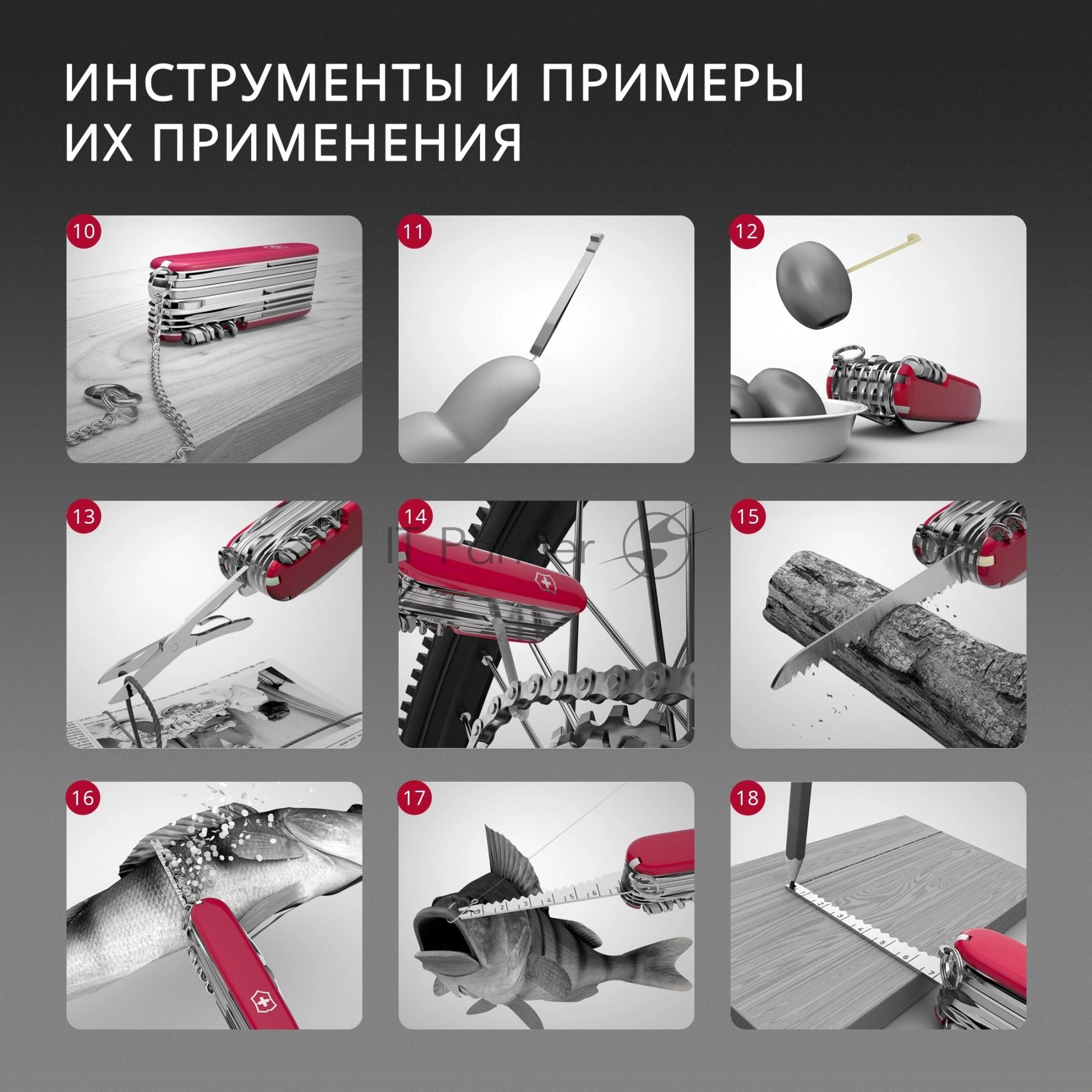 Мультитул Victorinox Companion S Alox (0.6261.28) 58мм 5функц. золотистый карт.коробка