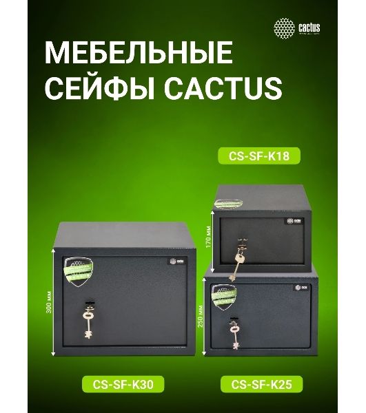 Сейф мебельный Cactus CS-SF-K25 250x350x250мм ключевой