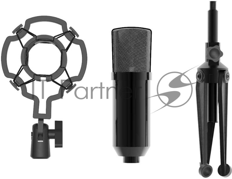 Микрофон RITMIX RDM-160 черный