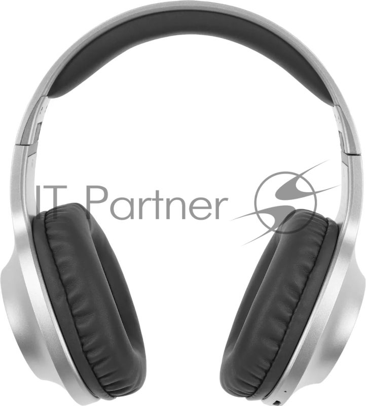 Наушники Panasonic RB-HX220BEES серебристый Полноразмерные Bluetooth наушники с усиленным басом