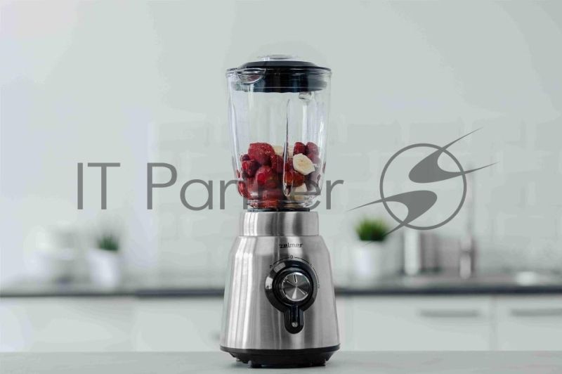 Блендер Zelmer ZSB4850 INOX