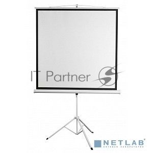 Экран 180x180см Digis Kontur-D DSKD-1105 1:1 напольный рулонный