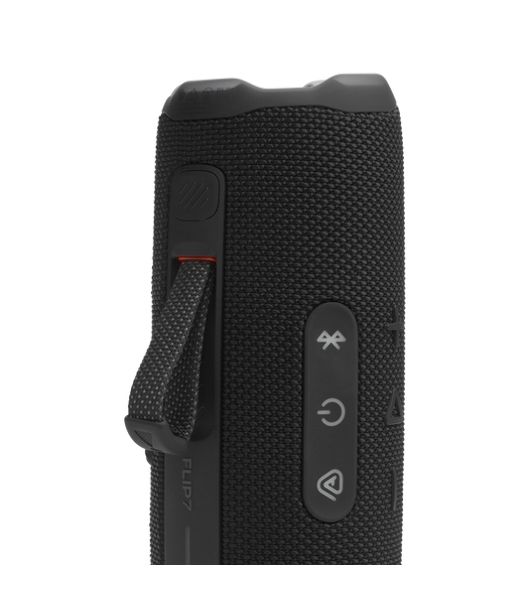 Колонка портативная JBL Flip 7 черный 25W 1.0 BT 4800mAh (JBLFLIP7BLK)