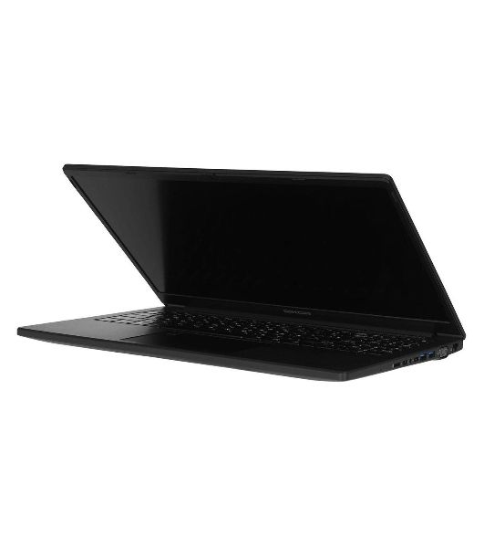 Ноутбук Rikor NINO 201.1/15.6"/IPS/AMD Ryzen 3 5425U/8192Mb/256Gb SSD/AMD Radeon Graphics/Windows 11 Pro/черный/1.65kg