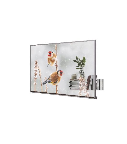 Панель LG 55EW5P-M серебристый, 55", 1920x1080, OLED, 400 Кд/м2, 200000:1, 8 мс, webOS, 178°/178°